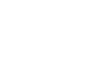Audit and tax litigation